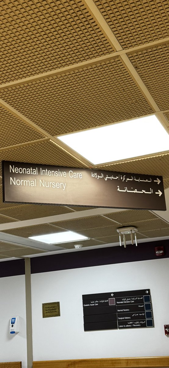 Sara 🫧 tweet media