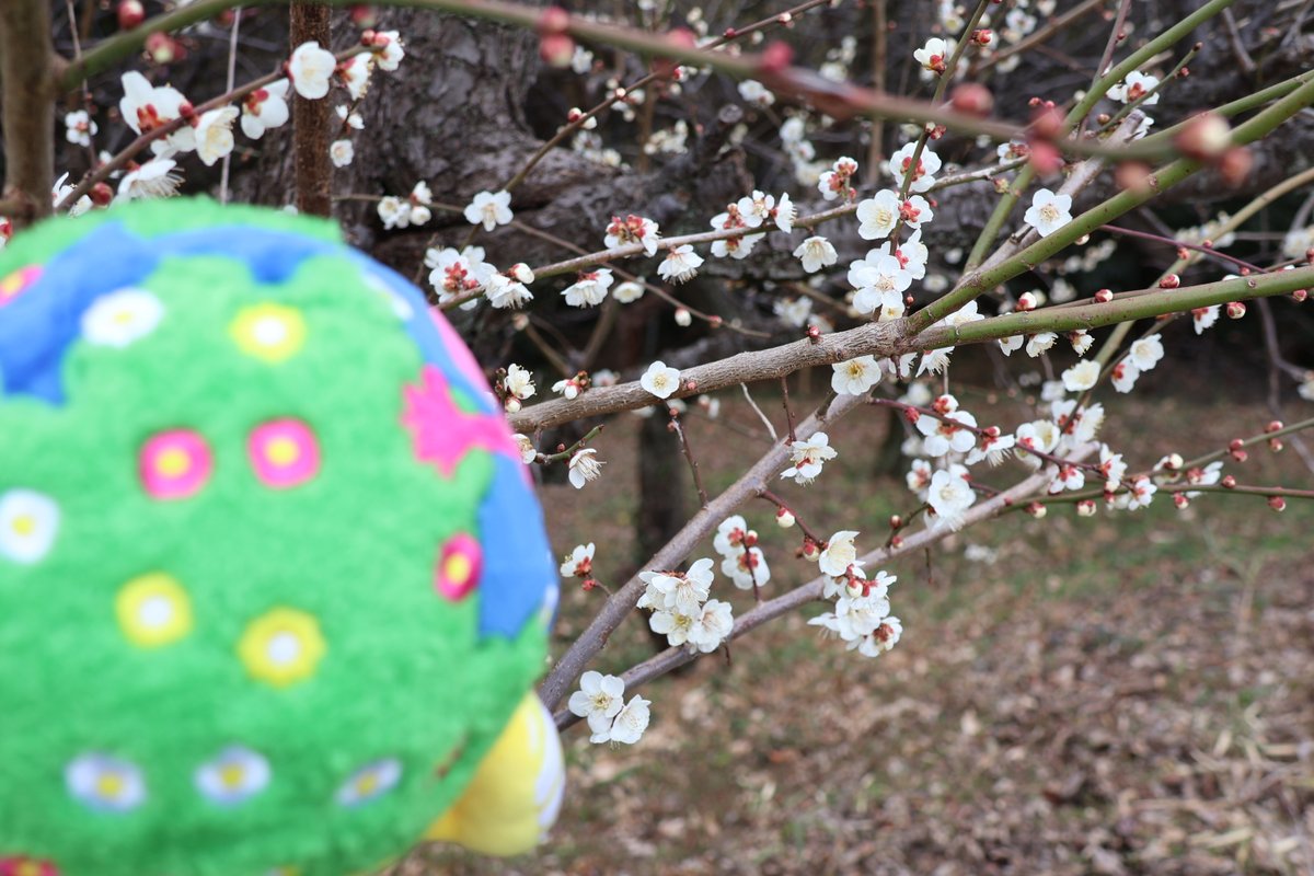 🌏#トゥンクトゥンクおでかけ日記 (非公式)🌏 #トゥンクトゥンク が