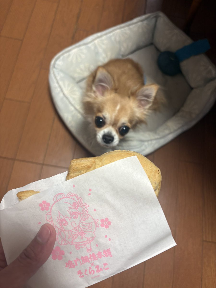 pani_hare's tweet photo. 朝イチで行ってきた

 #みこち鯛焼き https://t.co/MTGQ351fhY