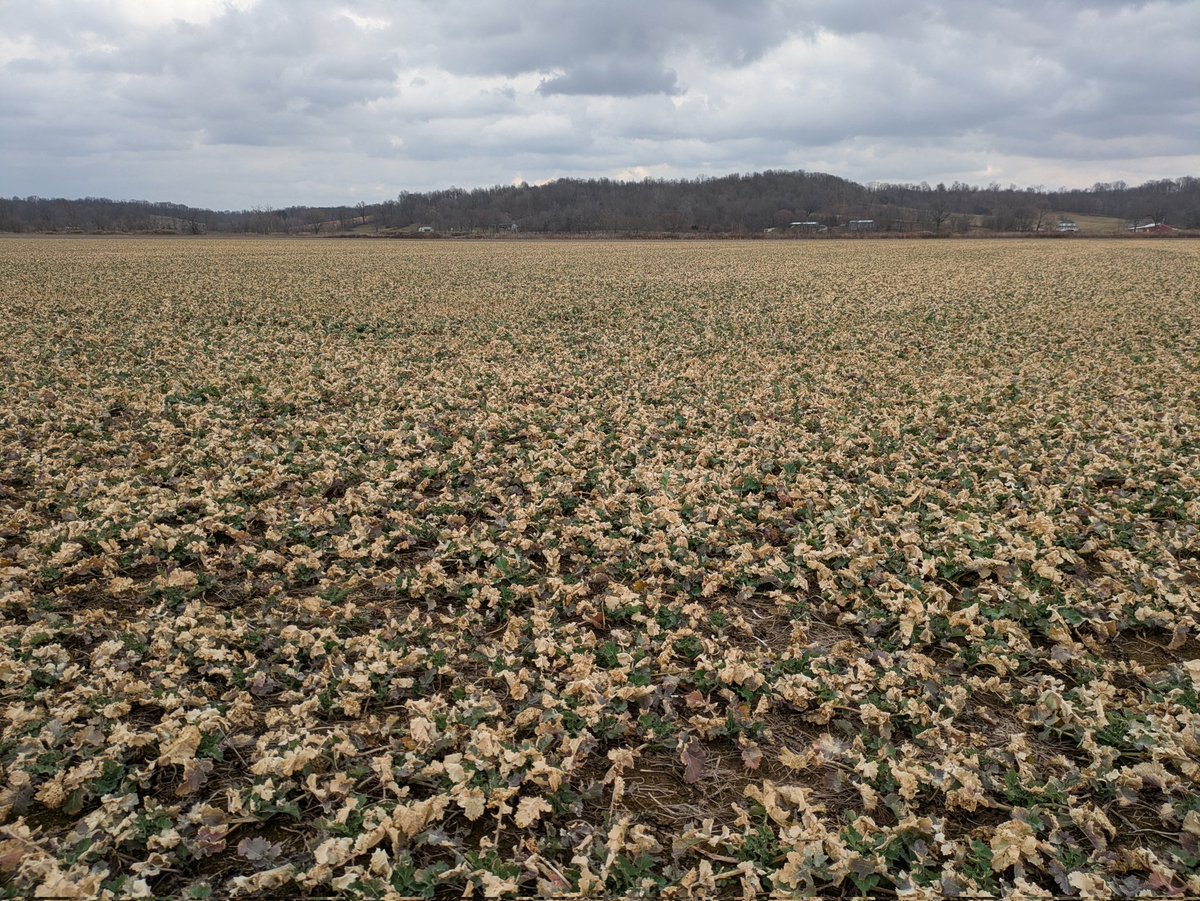 Brian Ulen tweet media