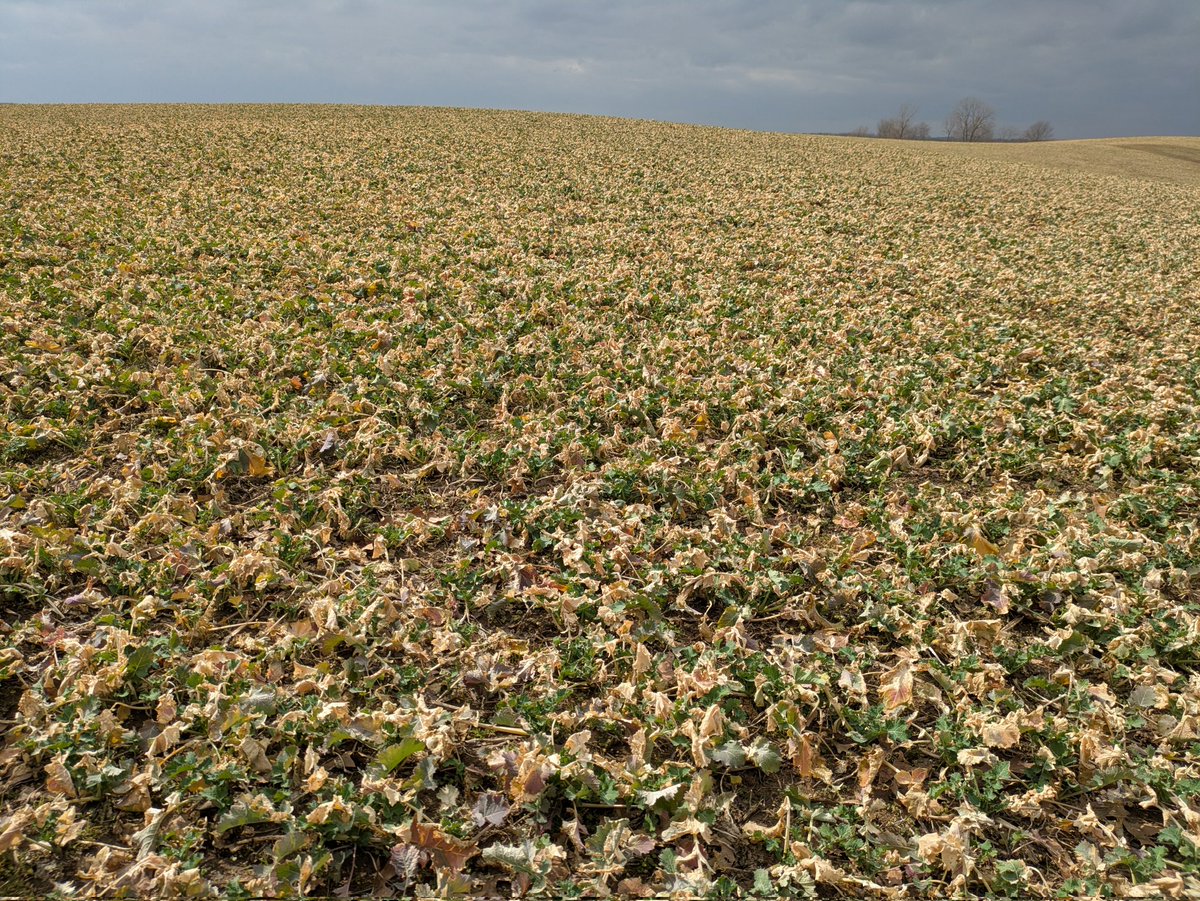 Brian Ulen tweet media