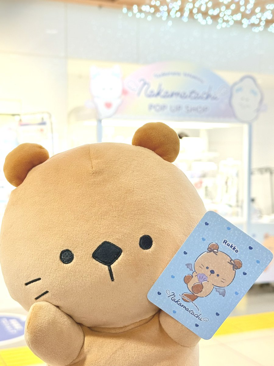 つぶらな瞳の仲間達【公式】 (@tsuburana_aqua) / Posts / X