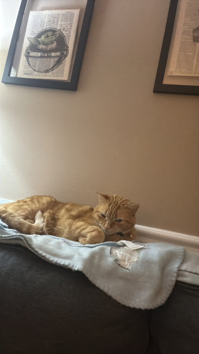 And my trusty little boo will have a cat sitter-don’t worry about him. I will miss him so much though 😭😭😭#tbtxfiles