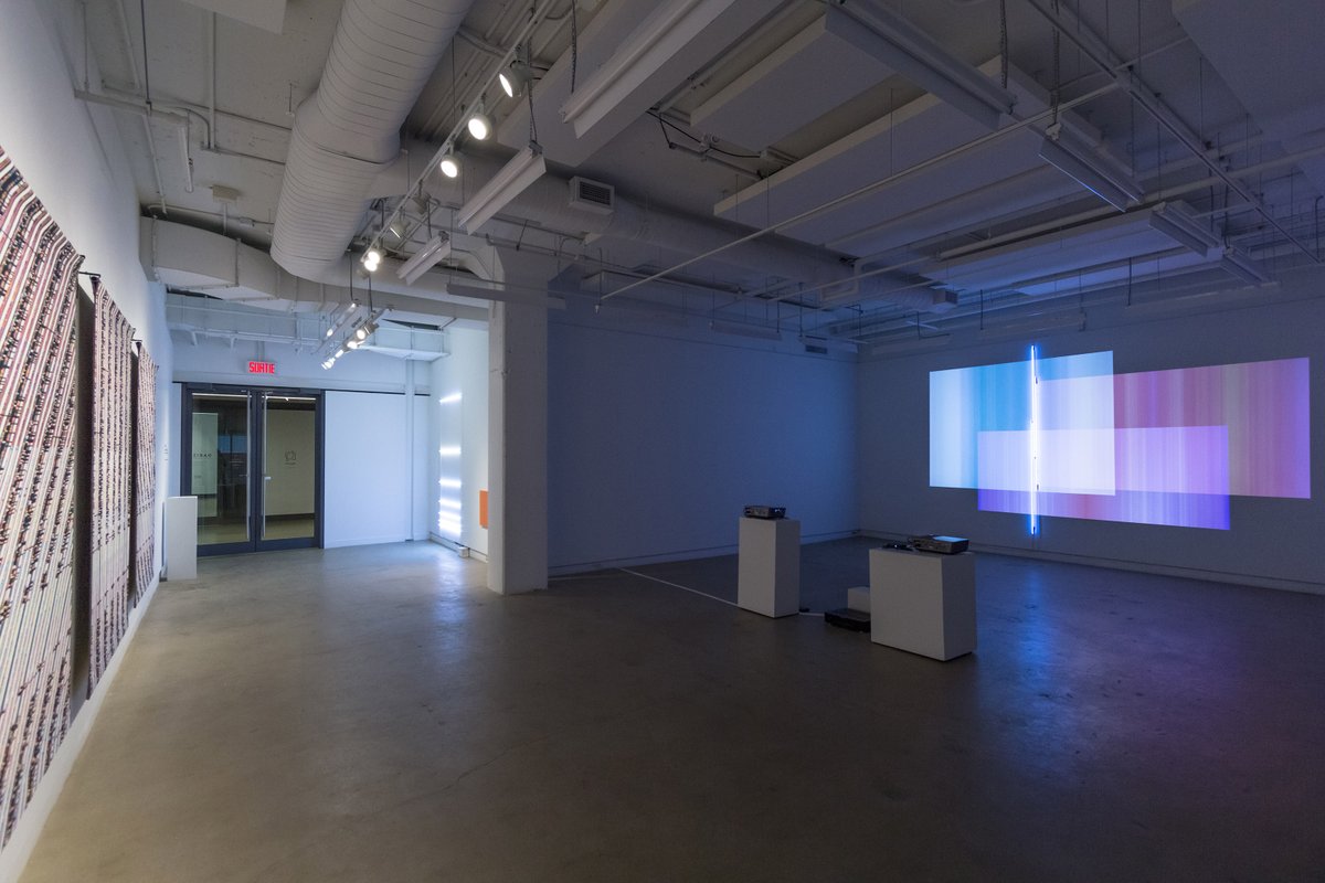 pixelform's tweet image. ADC/DAC @ BIAN 2016

1. ADC/DAC - Vestigial Data tapestries.
2. Gallery View - View of installed works from rear of the gallery.

phillipstearns.com

#textileart #exhibition #BIAN2016 #soloshow #digitalart #phillipstearns