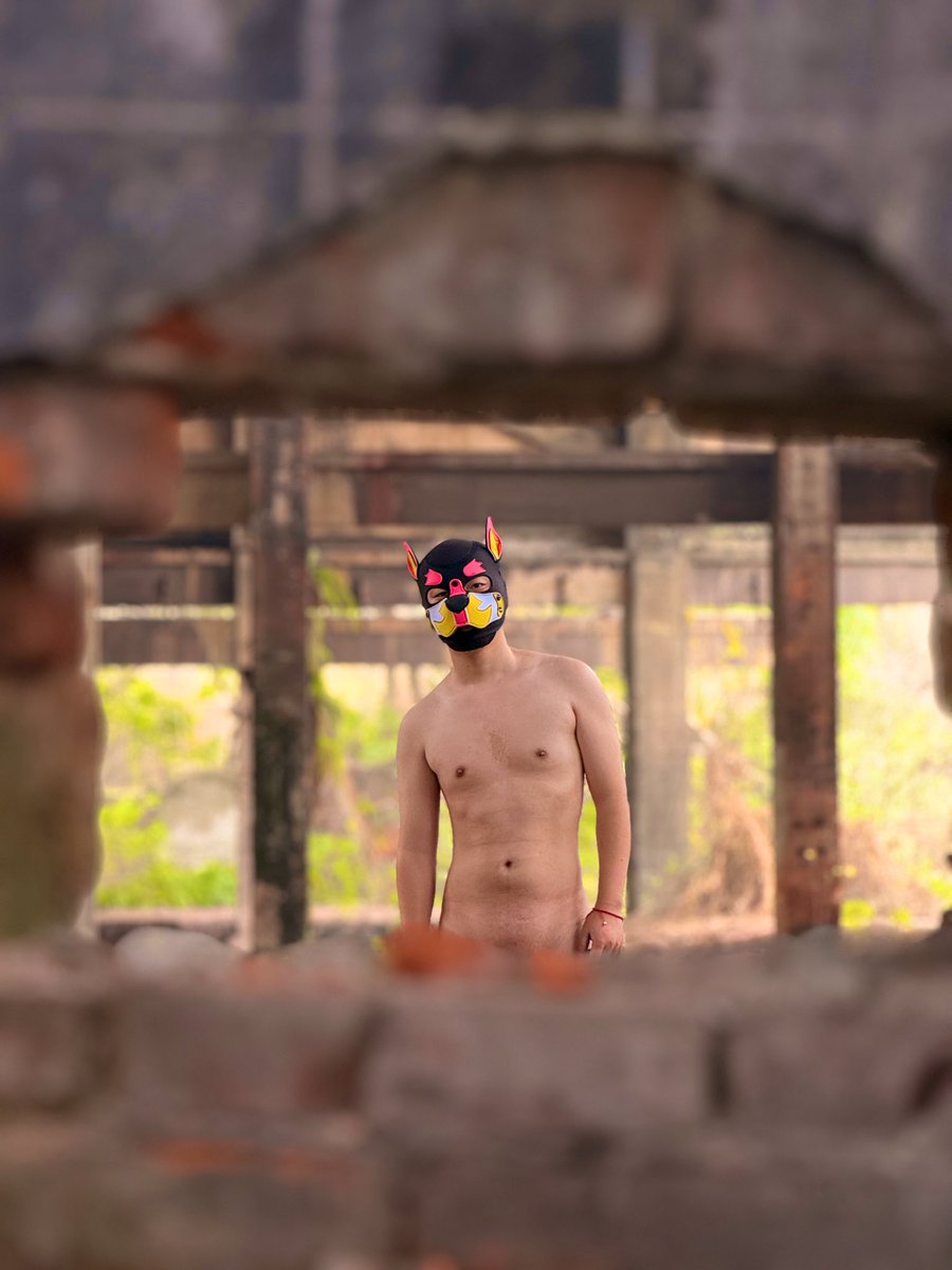 小狗阿诺（Arnotto） tweet media