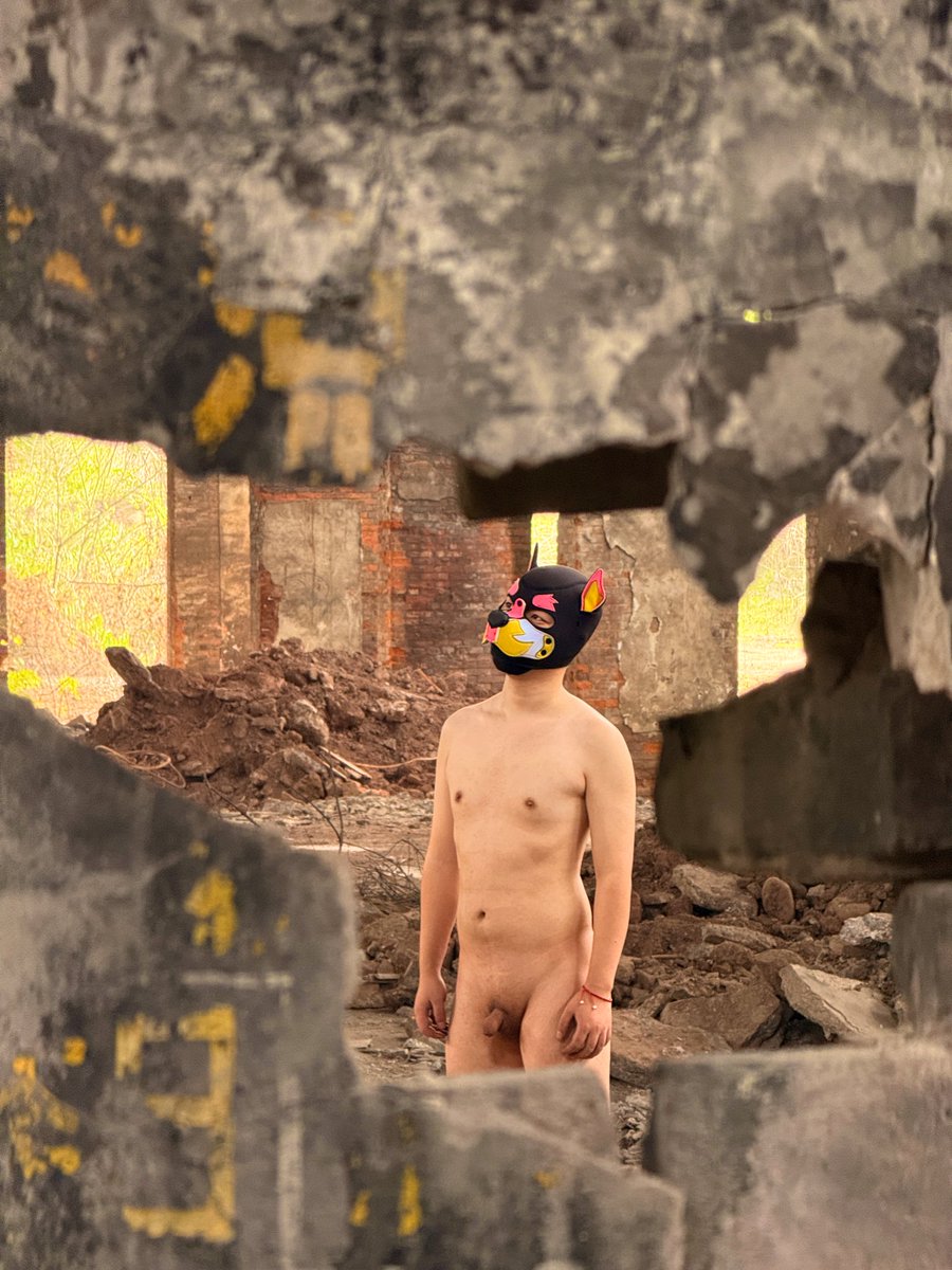 小狗阿诺（Arnotto） tweet media