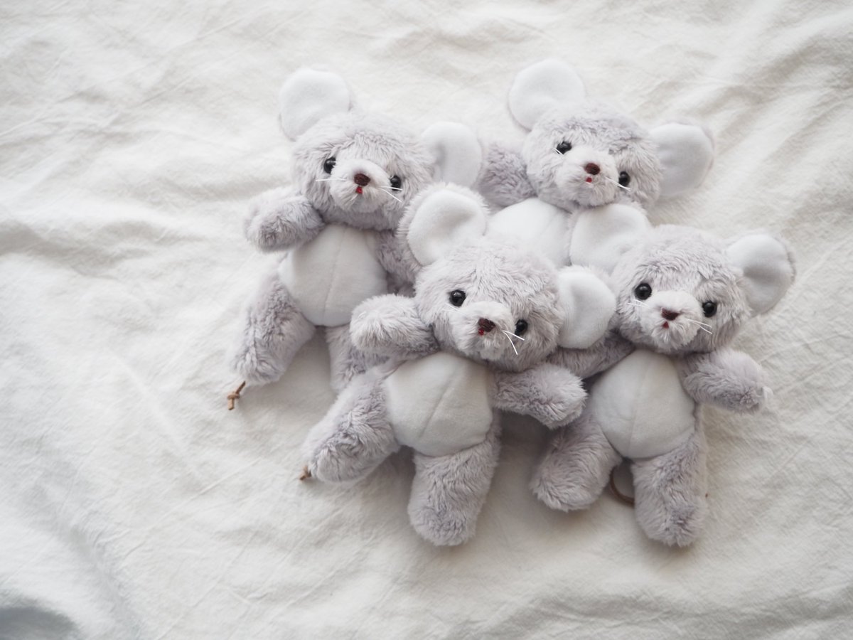 ネズミさんたち素敵なおうちにお引越しできますように🐭🐭🏠🐭🐭