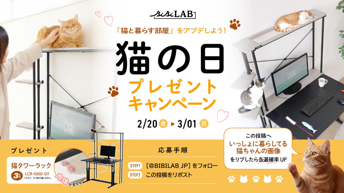 BIBILAB_JP's tweet photo. 🎁. ˚🐾 ݁₊ ⊹ .  ݁🐱 ݁. ⊹ ₊ ݁🐾˚. 🎁

ねこと暮らす部屋をアプデしよう！
#猫の日 プレゼントキャンペーン

🎁. ˚🐾݁ ₊ ⊹ .  ݁🎀݁݁ . ⊹ ₊ ݁🐾˚. 🎁

応募方法
1⃣ @BIBILAB_JP をフォロー
2⃣ 本投稿をリポスト
🐈「いっしょに暮らしてる猫ちゃんの画像」を返信して当選確率🆙

⏰3/1（日）まで https://t.co/puzAGmzJK9