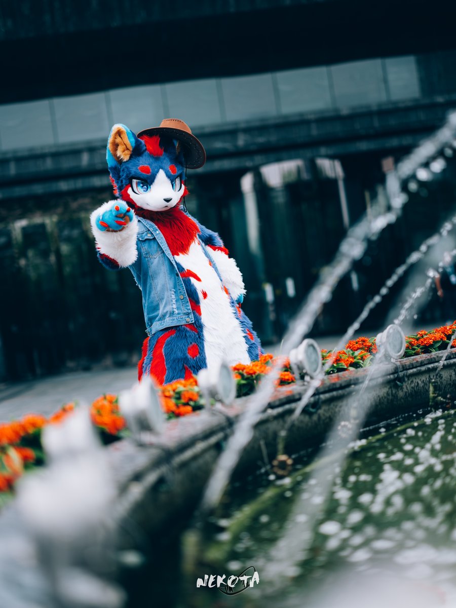 LearTetos's tweet photo. 新的一年，祝大家平安幸福！马到功成！

拍摄:@hinekota

#FursuitFriday https://t.co/OiBaWP2twP