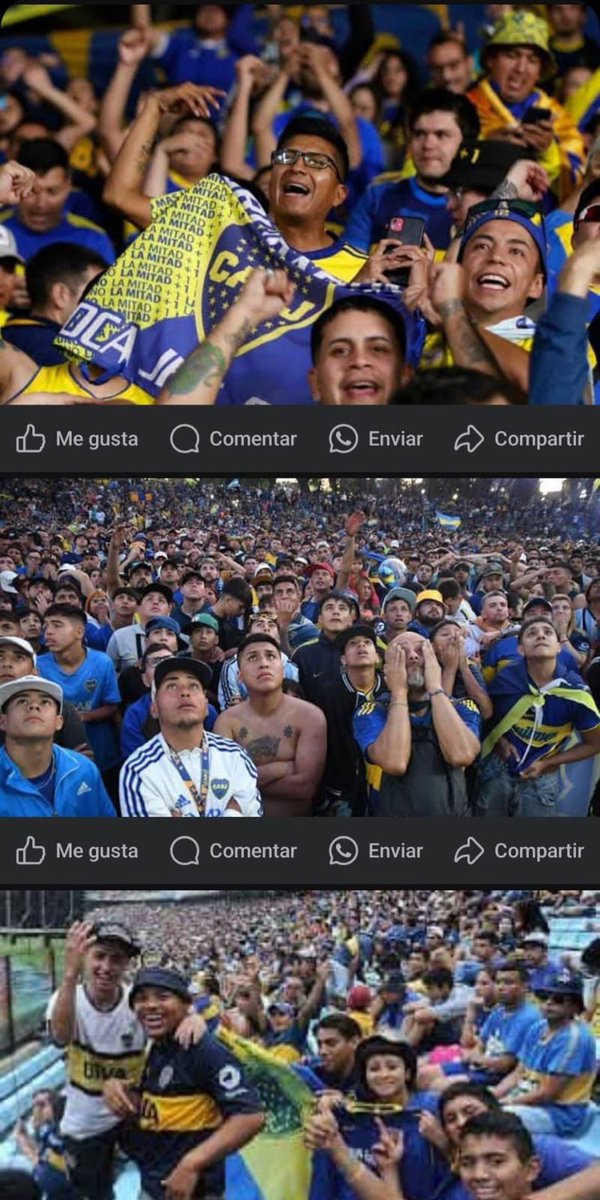 Don Vikingo tweet media
