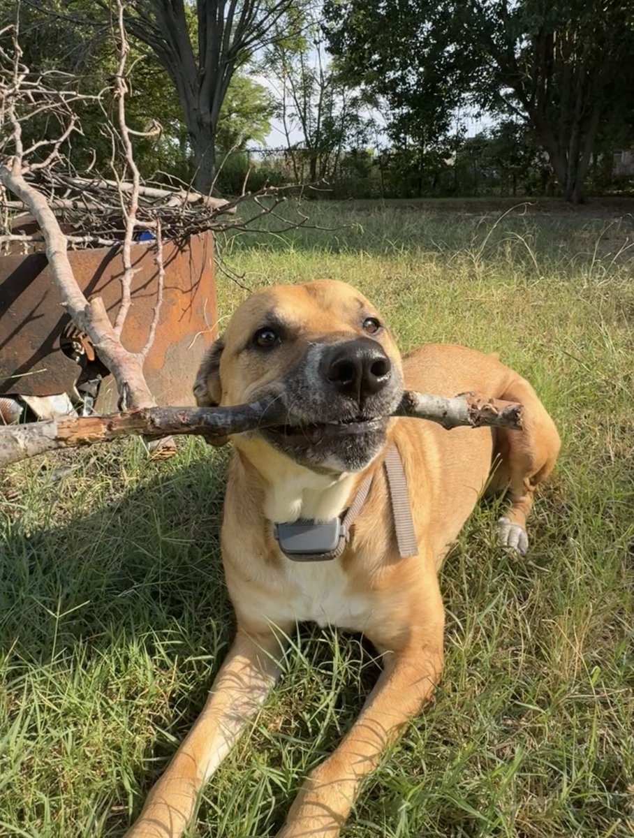 Name cannot be blank tweet media