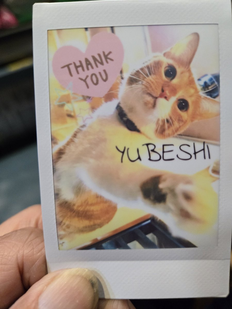 📣ニャン情報📣 2/22ニャンニャンニャンDay 🐱🐱🐱🐱🐱🐱🐱 2/22は当店