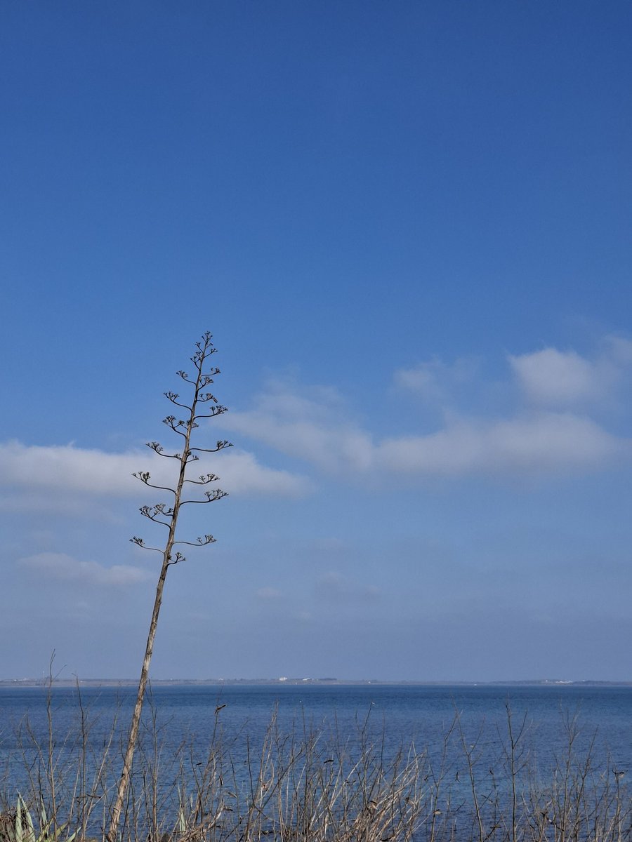 おばあちゃん家近所の漁港~
天気いいとき、景色はホントに綺麗❤️