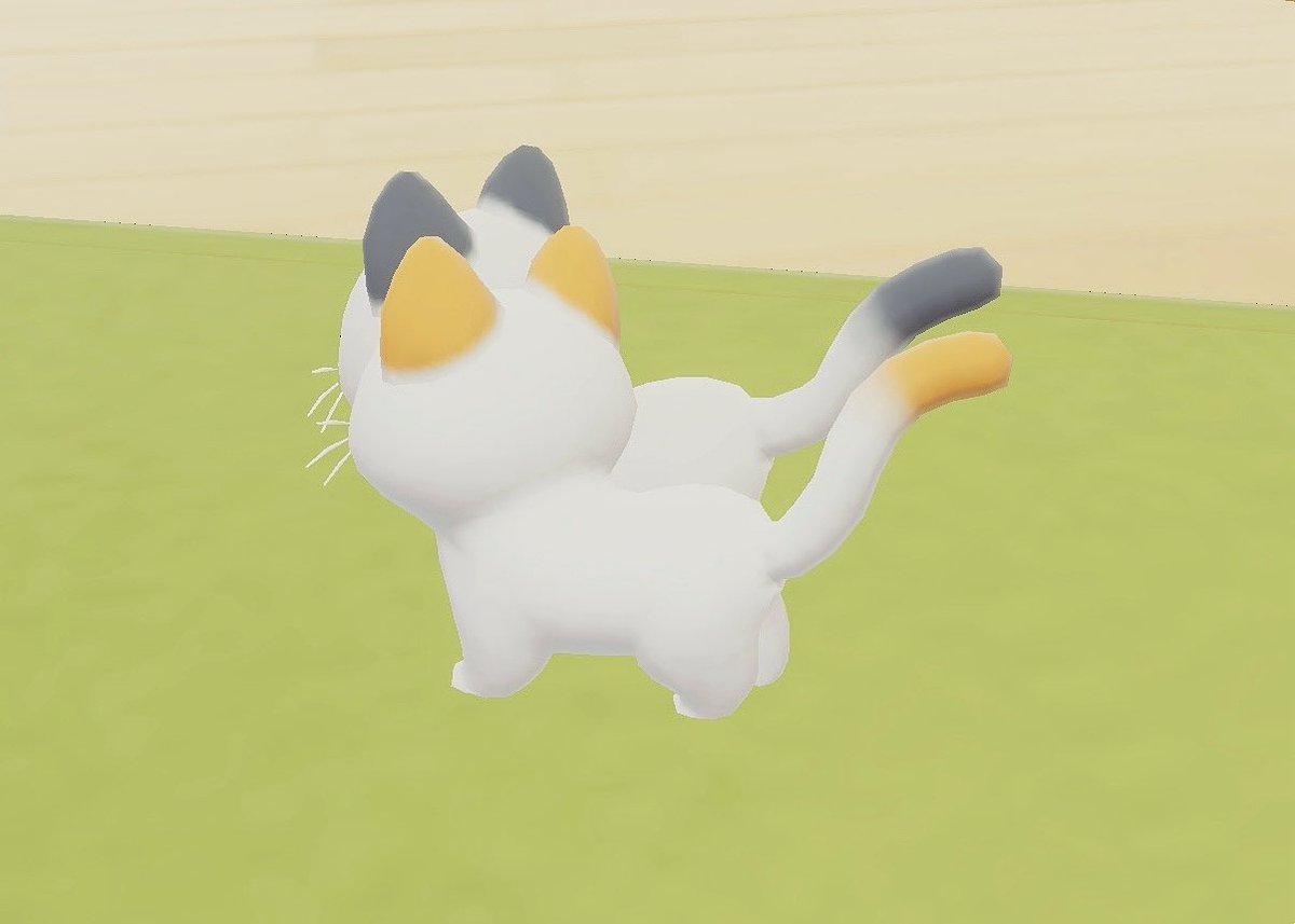 つり目とたれ目の双子みたいな猫ちゃんいて、うっかり2匹ともお迎えしてしまった🩶🤎
ハートピア猫スローライフがんばる⚞ • ⚟