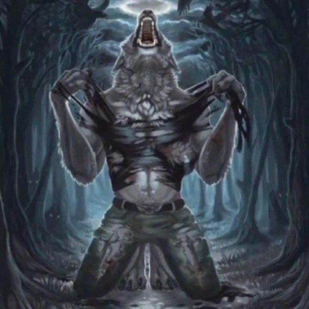 tô lendo (@lpudimzinho) on Twitter photo 