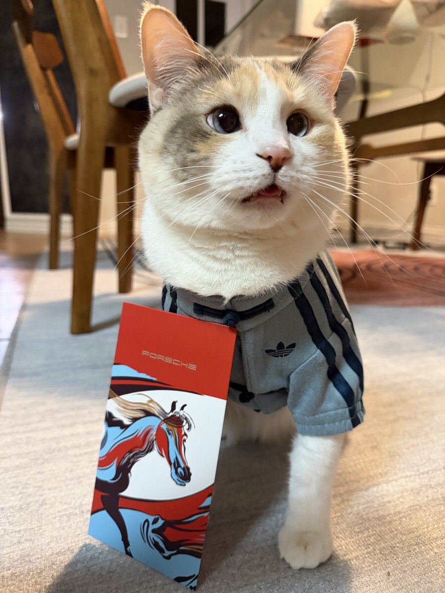 fatfatpankocat's tweet photo. In a Chinese time in her life https://t.co/7Z2nmM9XtP