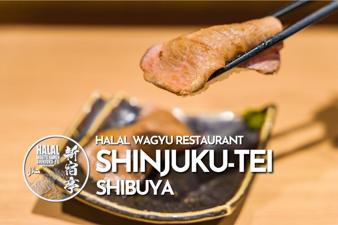 halal_shibuya's tweet photo. 【5 minutes walk from Shibuya Station】 
Halal Wagyu Ramen Shinjuku-Tei Shibuya, Tokyo 100% Halal Wagyu Be...

続きはこちら
https://t.co/c9ImQf31Nm https://t.co/IrFxHvMZmP