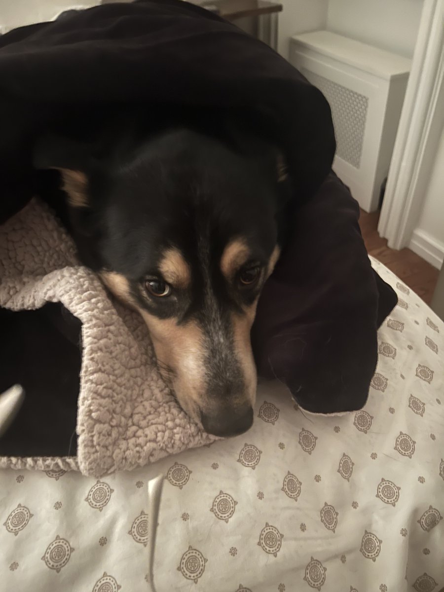 Jim Cramer tweet media