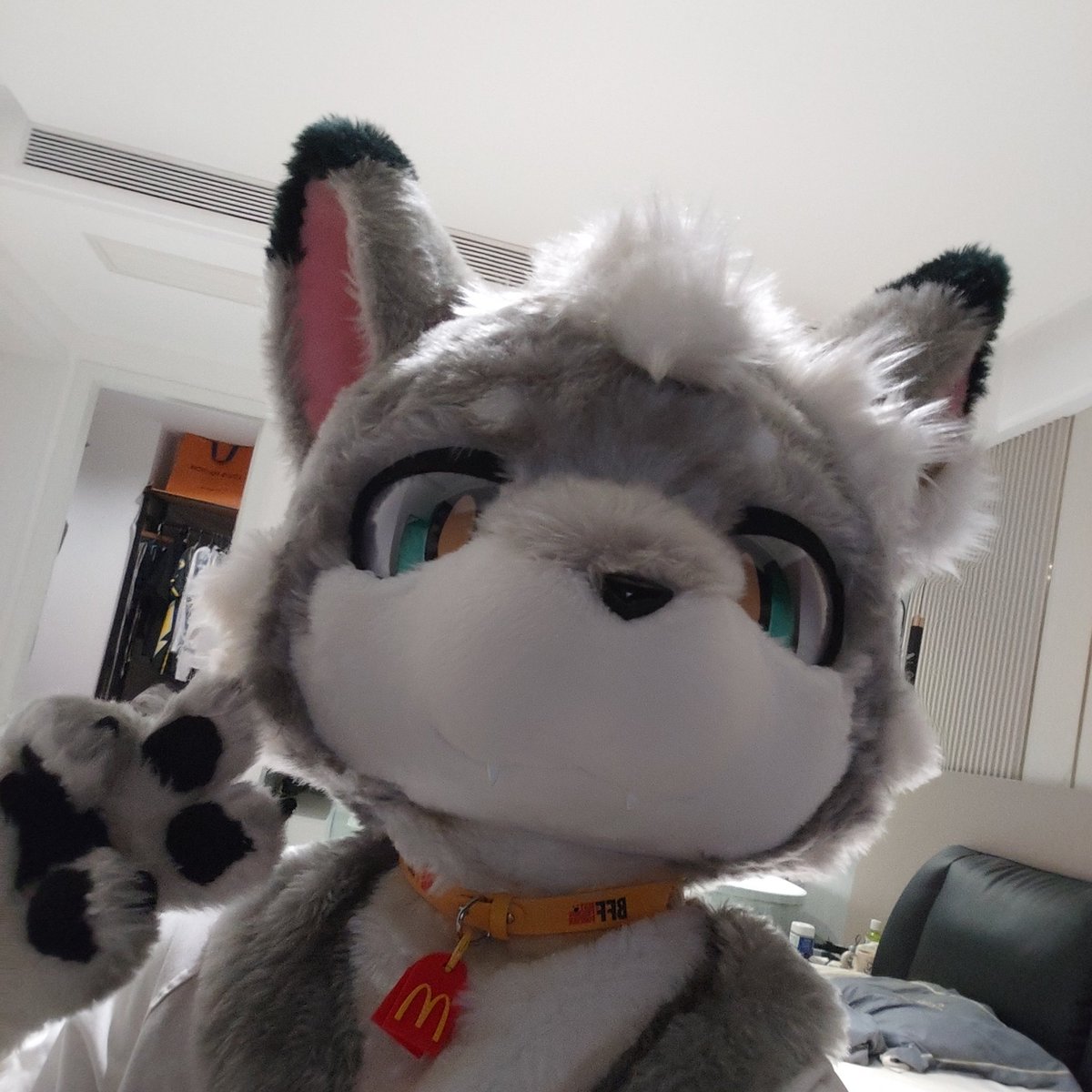 Uga-乌格尔/ウガ️ tweet media