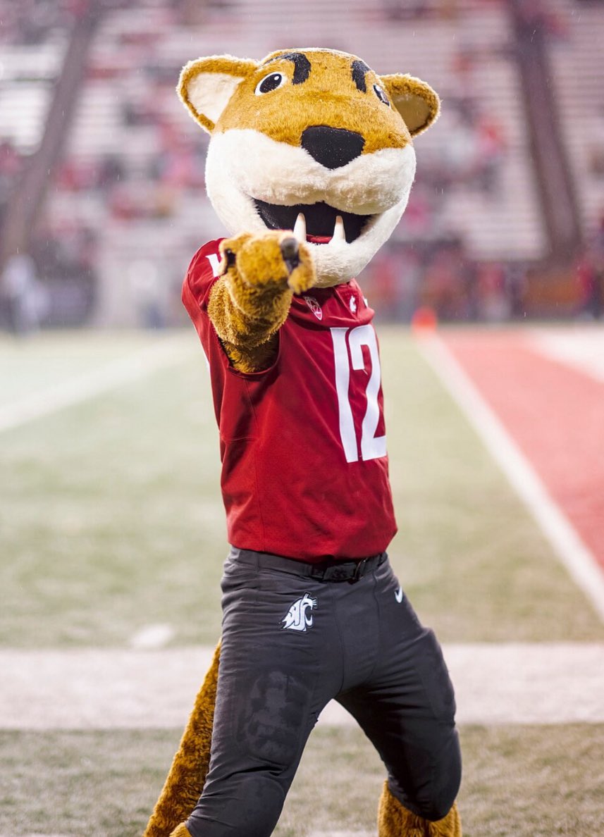 Relando Jefferson lV 3⭐️ tweet media