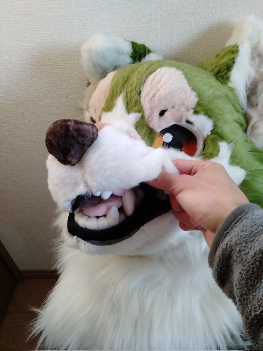 オラノン tweet media