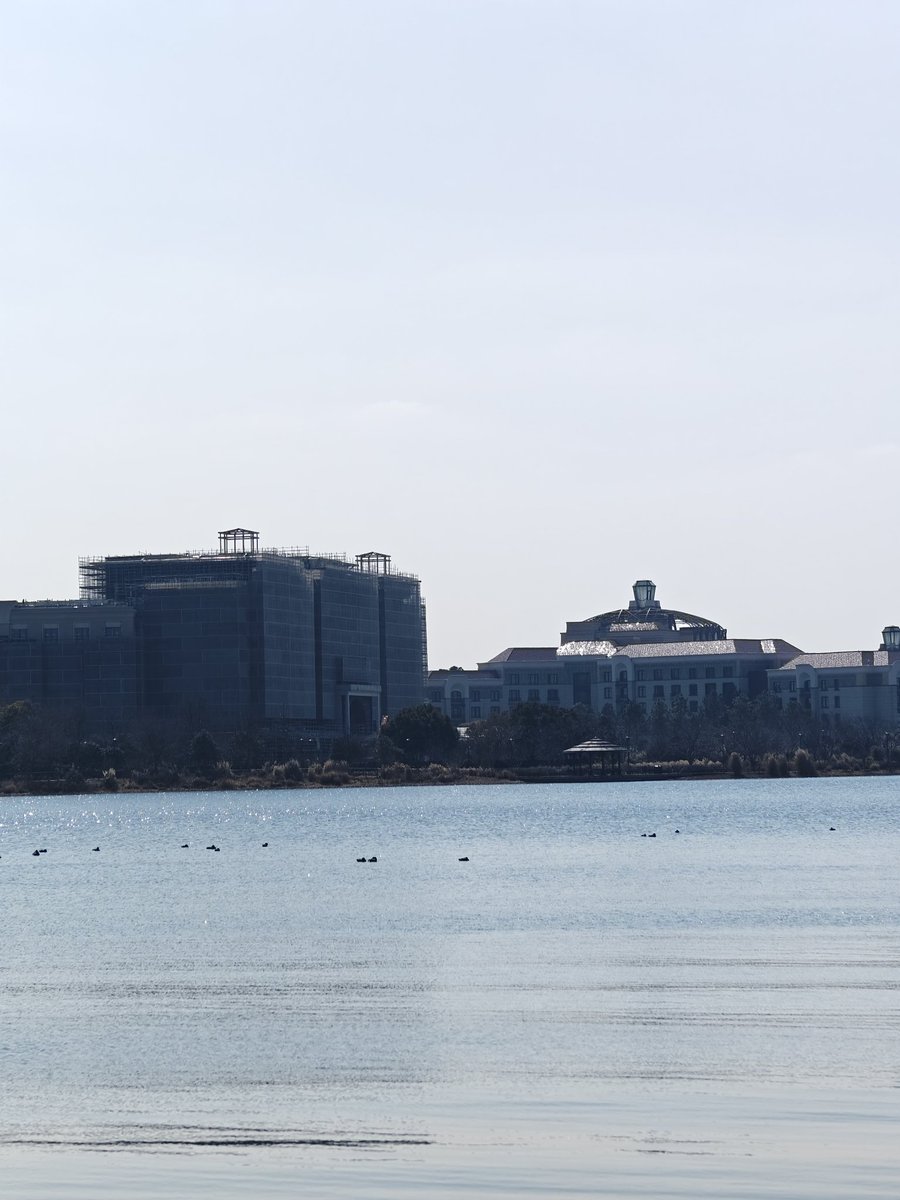 ZJT10000's tweet photo. Wishing Star Park is a beautiful lakeside park in Shanghai Disney Resort. It surrounds Wishing Star Lake with walking trails, wetlands and viewing platforms. Its name comes from a classic Disney story, symbolizing dreams come true. https://t.co/zzKbrrHix6
