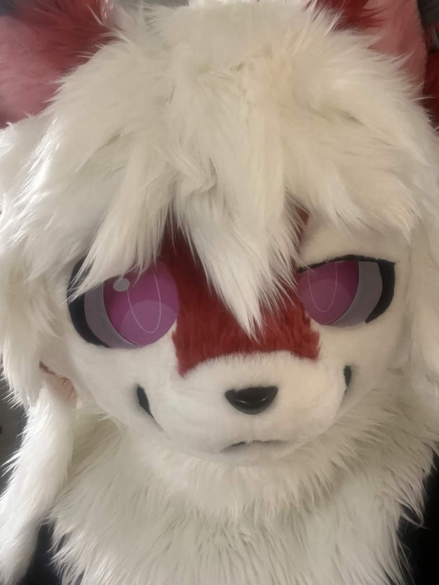 cubusonic tweet media