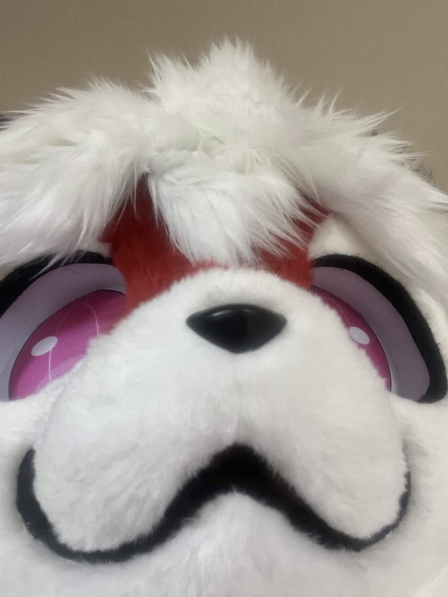 cubusonic tweet media