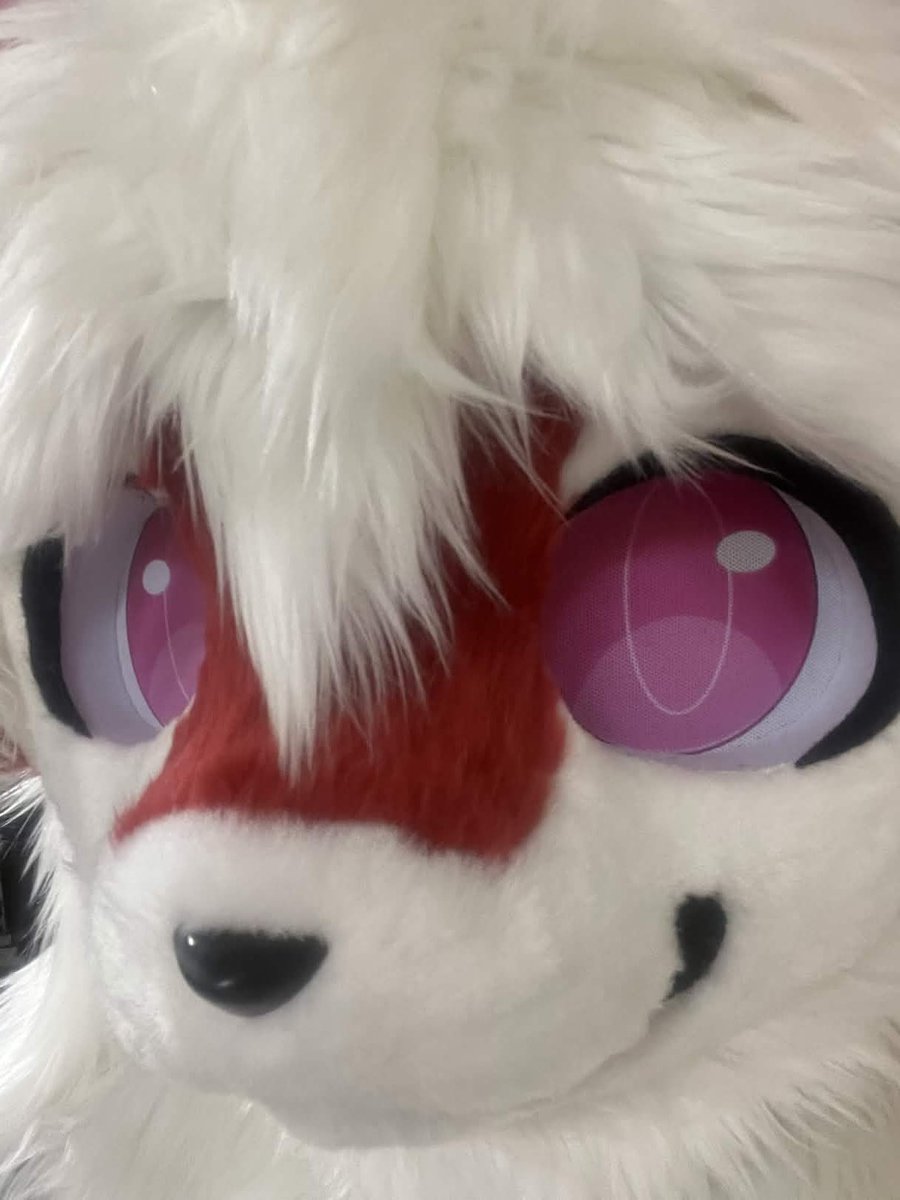 cubusonic tweet media