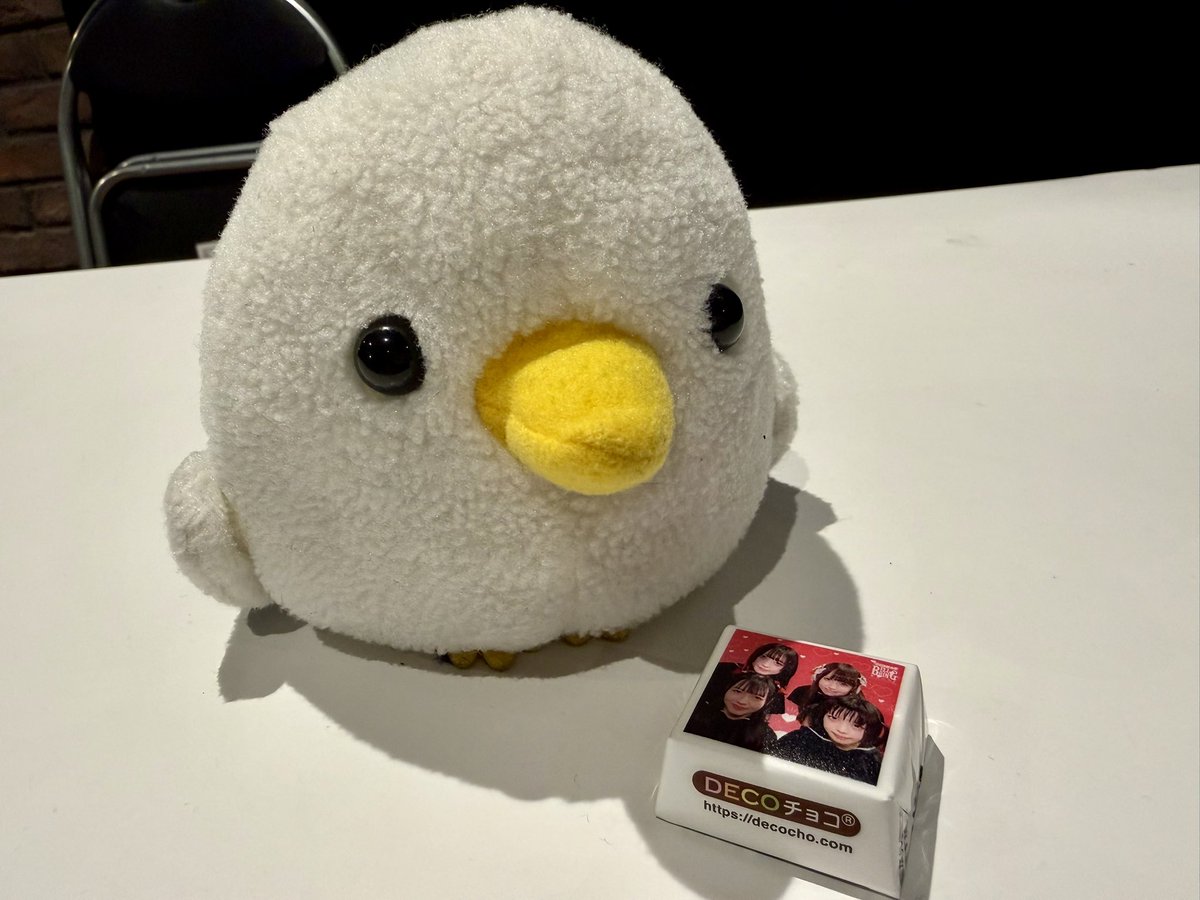 かもめくん(かもたん)(かもかもかもたん)(腹ぺこぽんこつ丸) tweet media