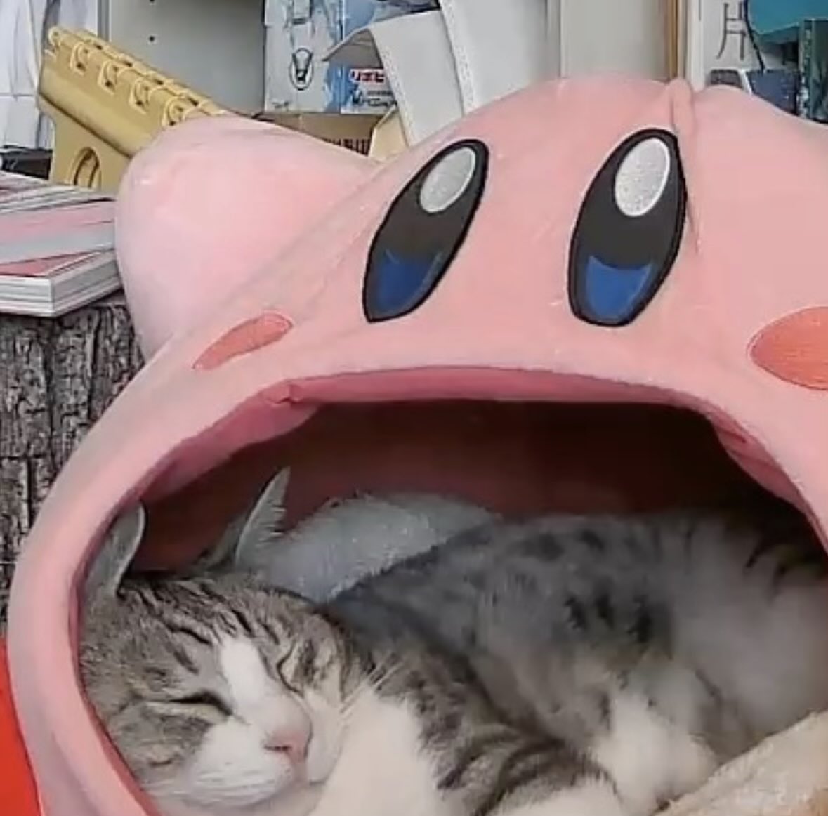 自宅ネコチャンカメラでみた、サバシの寝顔が良すぎる。