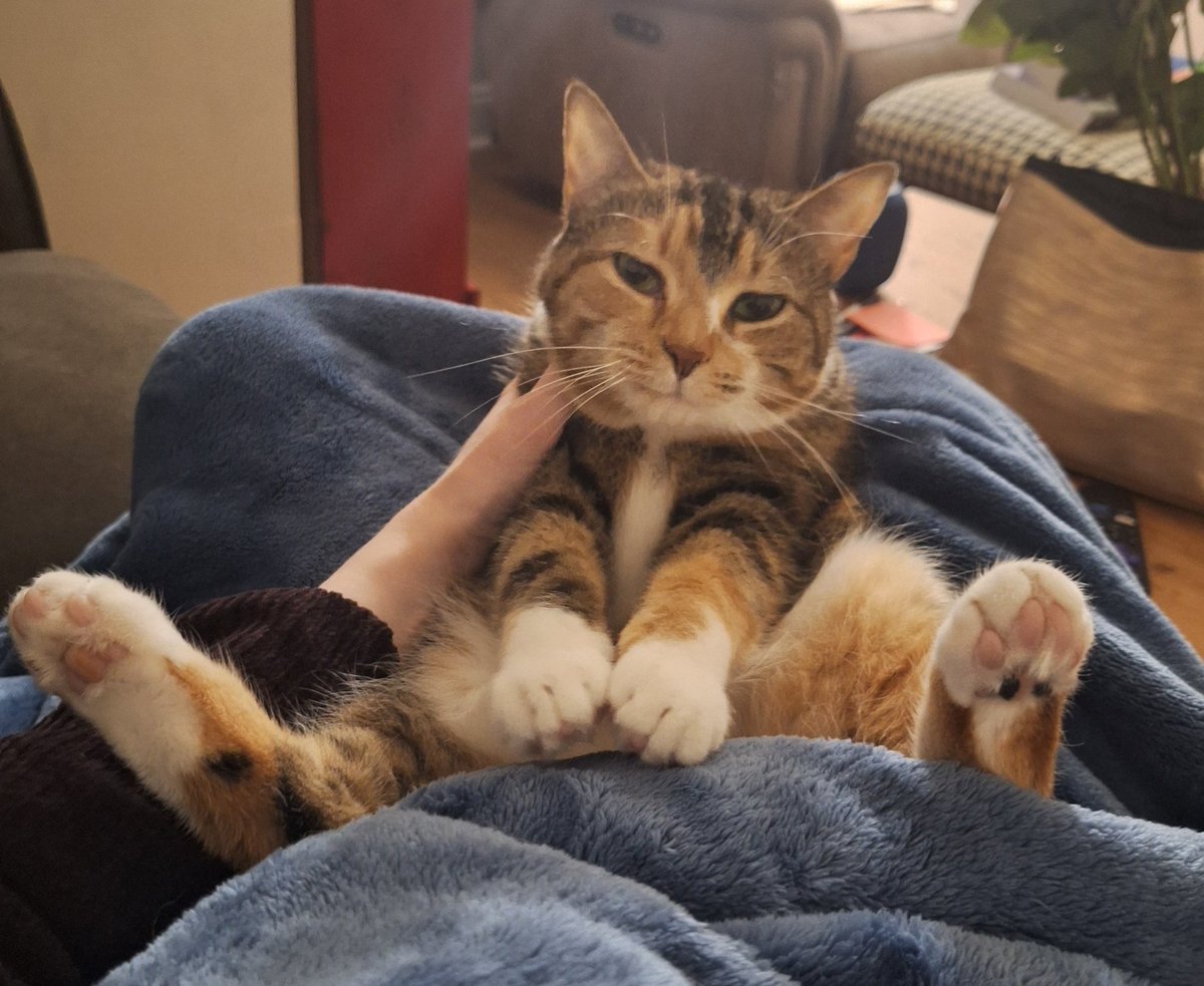 Molly World tweet media