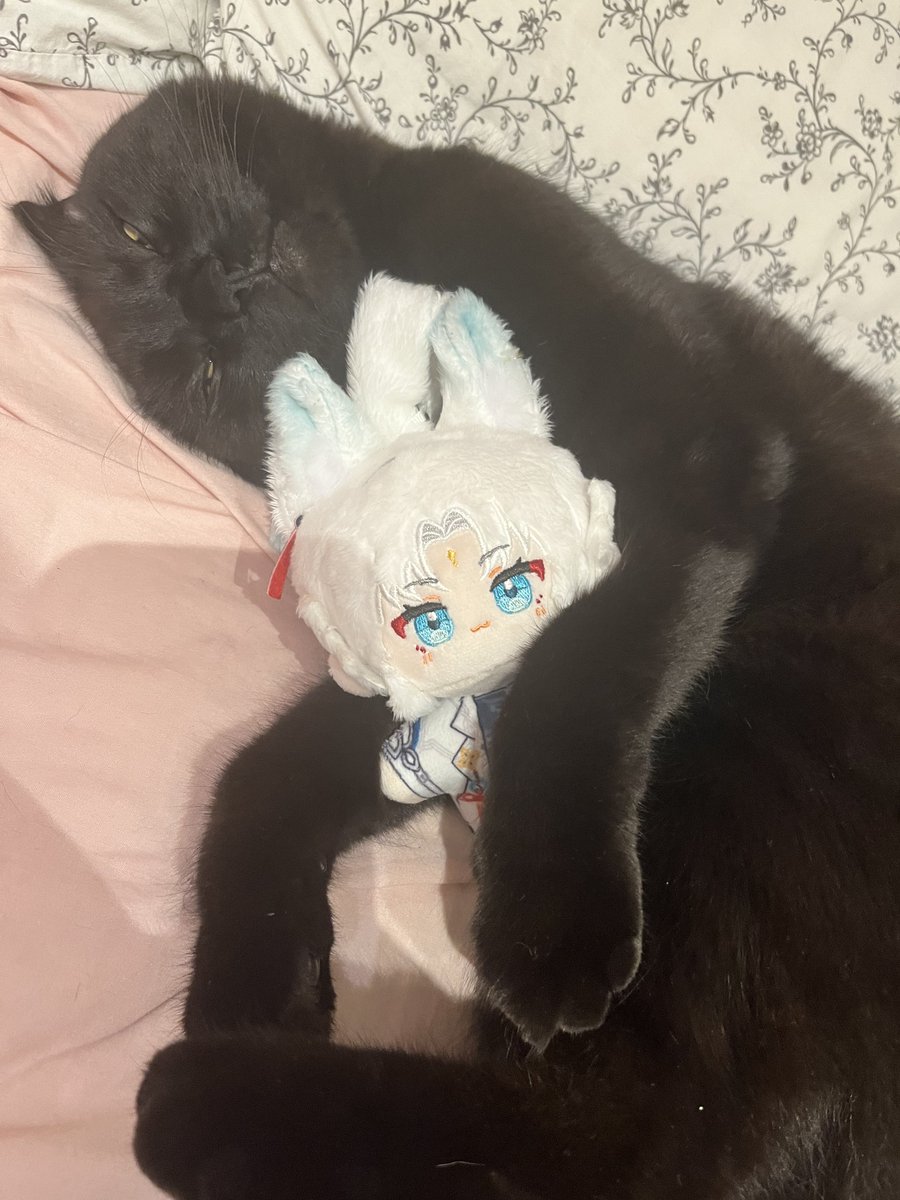 cece!! (˵ •̀ ᴗ - ˵ ) ✧ tweet media