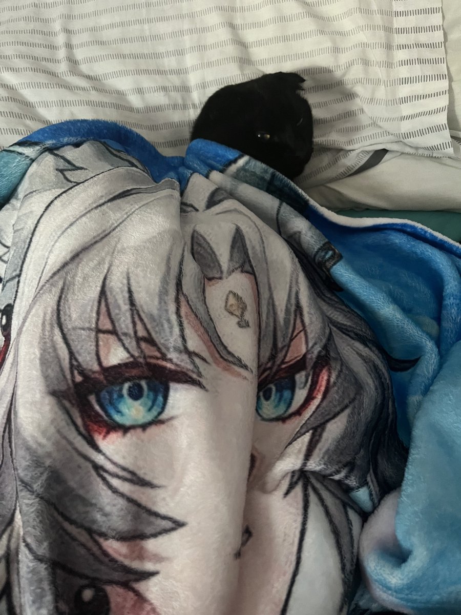 cece!! (˵ •̀ ᴗ - ˵ ) ✧ tweet media