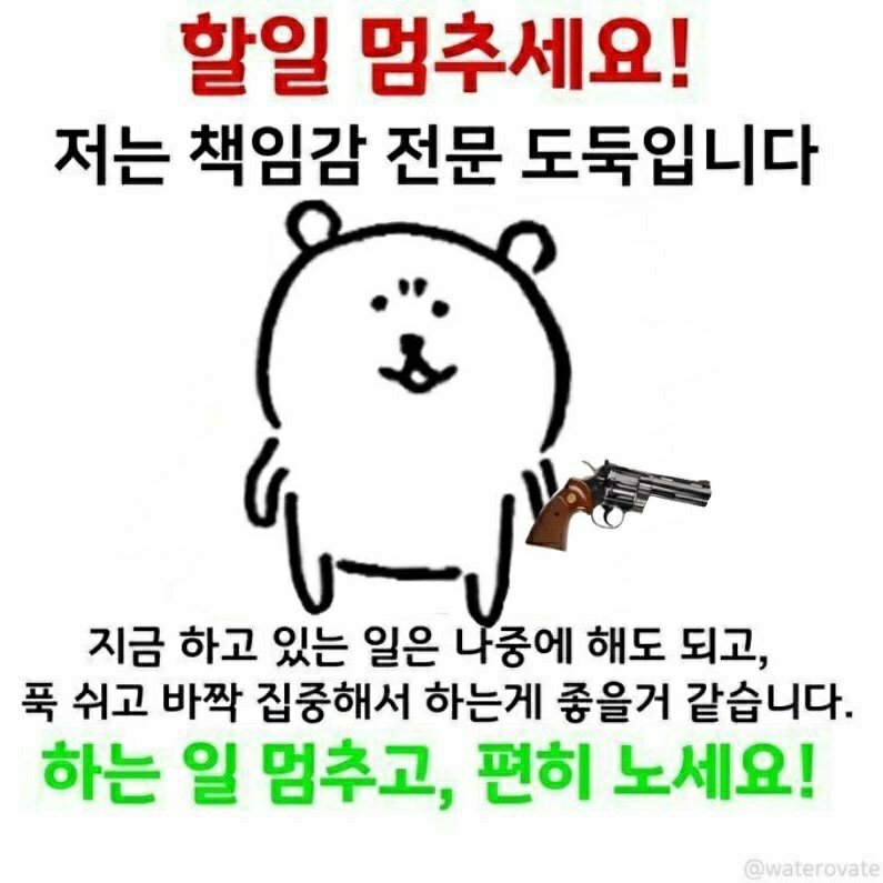 책임감 전문 도둑입니다