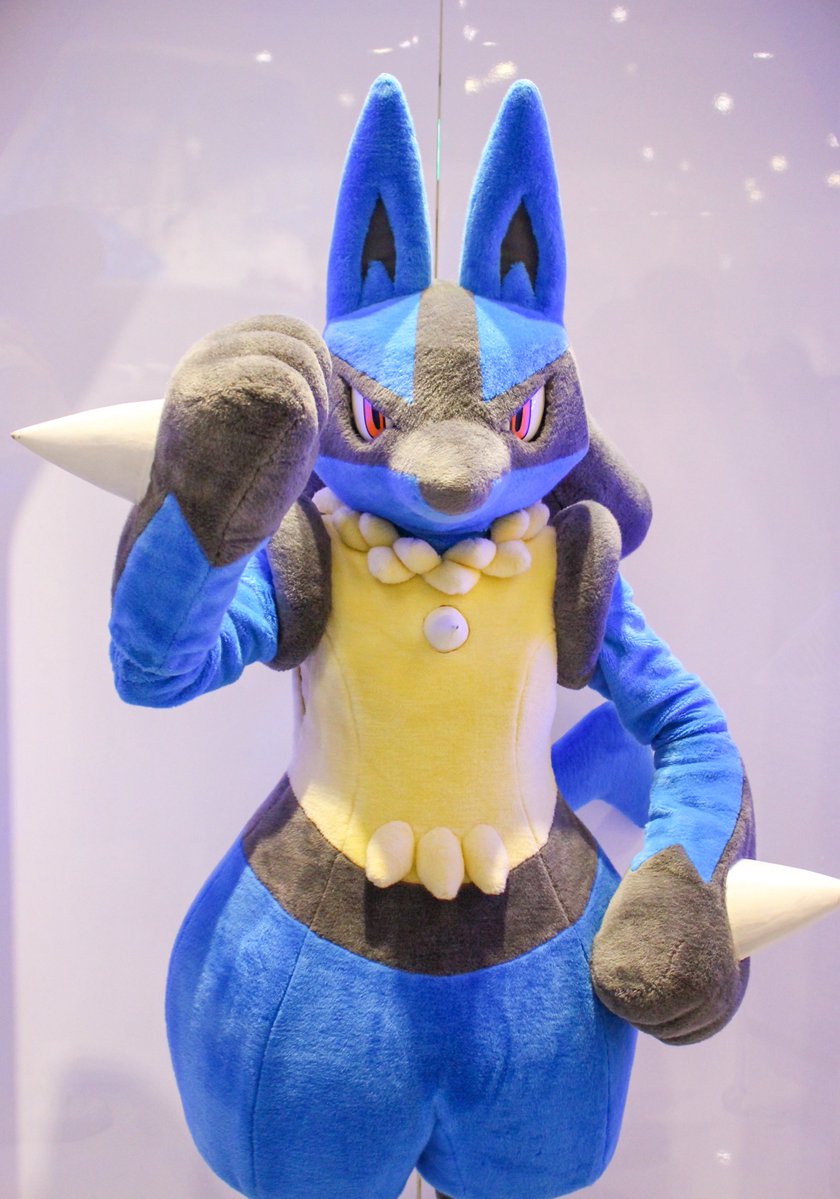 明日はポケパークに行くよ。 ルカリオ関係は何もないと聞いてます()