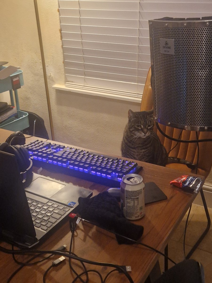 DEI chin tweet media