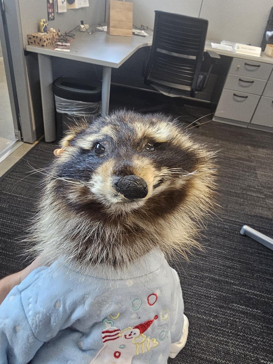 ✧ kal ✧ 🔜 SANG NO1 WITH HONGJOONG tweet media