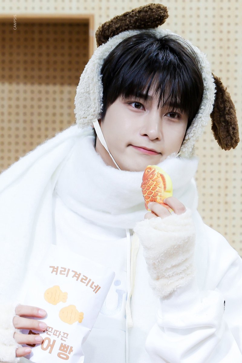 𝐂𝐀𝐌𝐏𝐒𝐈𝐒ꕤ tweet media