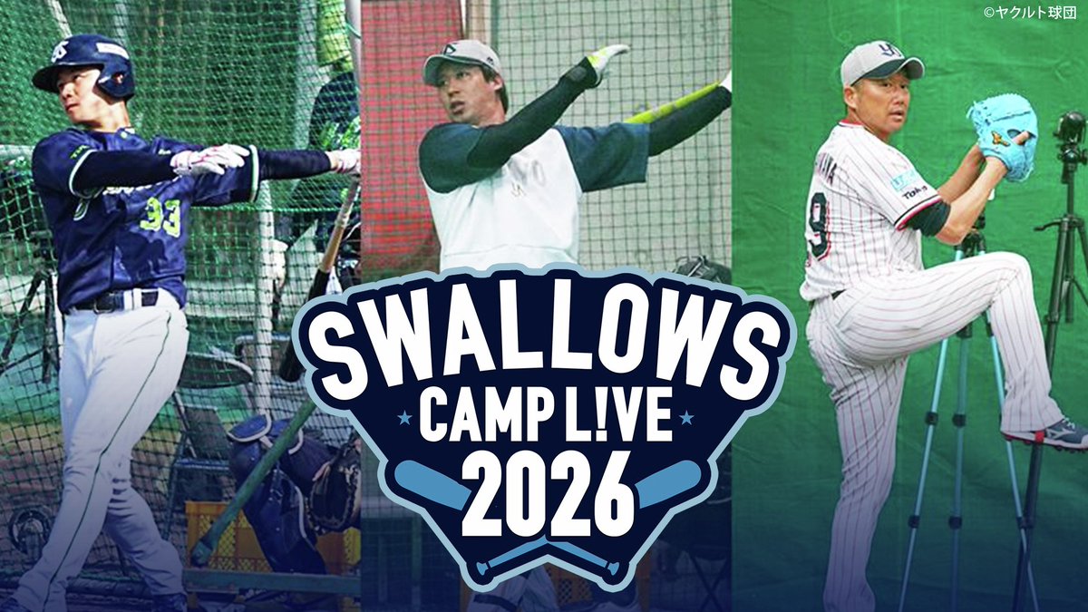 ⚾️🐧 週末もキャンプ＆オープン戦配信 🐧⚾️ 『SWALLOWS BASEBALL L