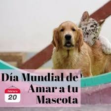 Los amantes de las Mascotas deben estar en alerta: la inmigración musulmana en Inglaterra, España y Nueva York pretenden PROHIBIR la tenencia de perros como mascotas por considerarlo un animal impuro