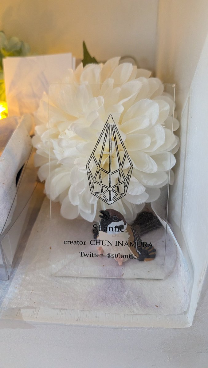 おつかれさまです。ただいま納品完了いたしました。

出ているもので全てになります。
裏の在庫などはないので、ブースisジャスティスになります。
重なっている箱をどかしてみて頂けたら幸いです。
よろしくお願いいたします。