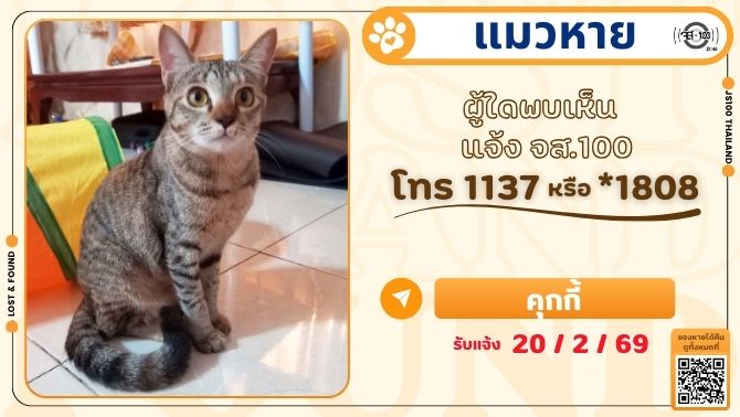 แมวหายจากหมู่บ้านเด่นชัยคลองอาเสี่ย เฟส 1 แพรกษาใหม่ จ.สมุทรปราการ ผู้ใดพบเห็นแจ้ง JS100 โทร *1808 หรือ 1137

รายละเอียดเพิ่มเติม : js100.com/en/site/lost_f…

#แมวหาย #ตามหาแมวหาย #JS100