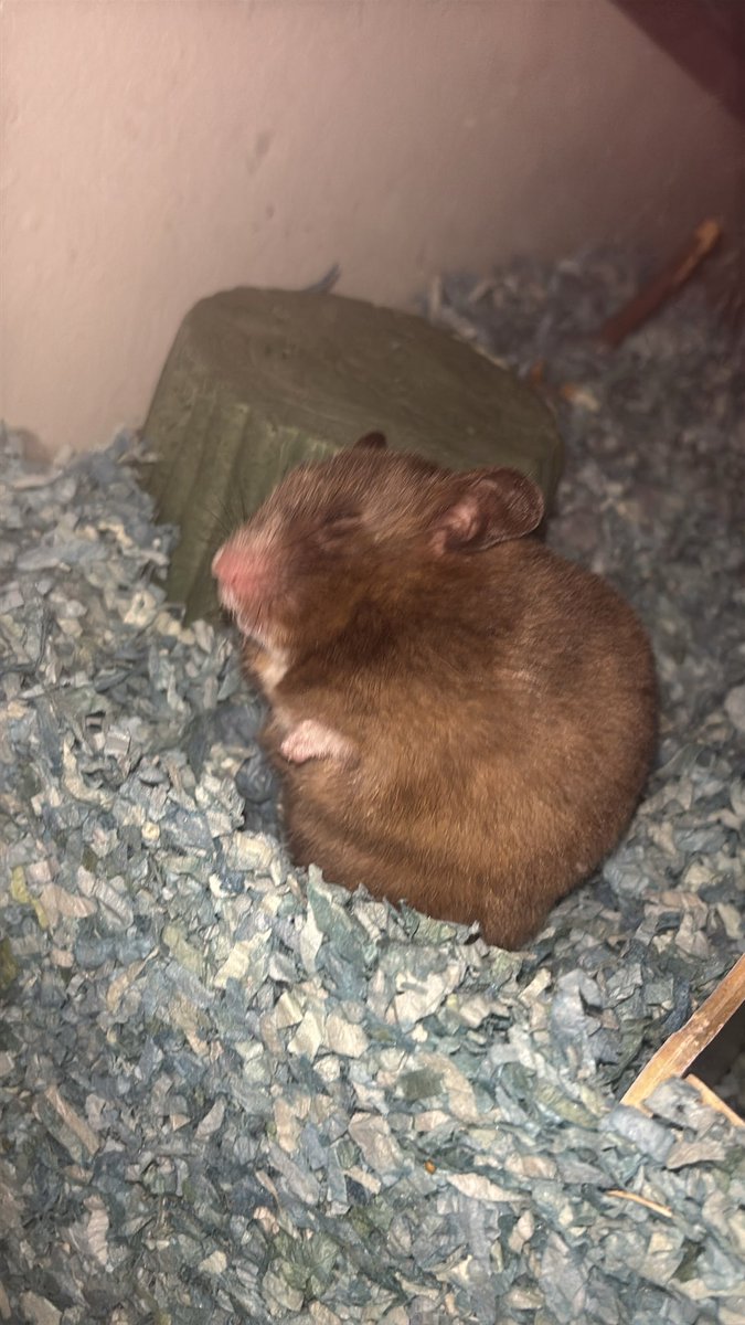 who the fuck is seahoon tweet media