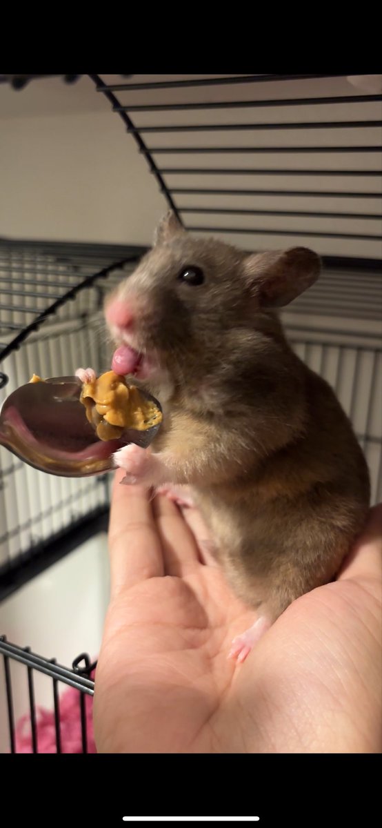 who the fuck is seahoon tweet media