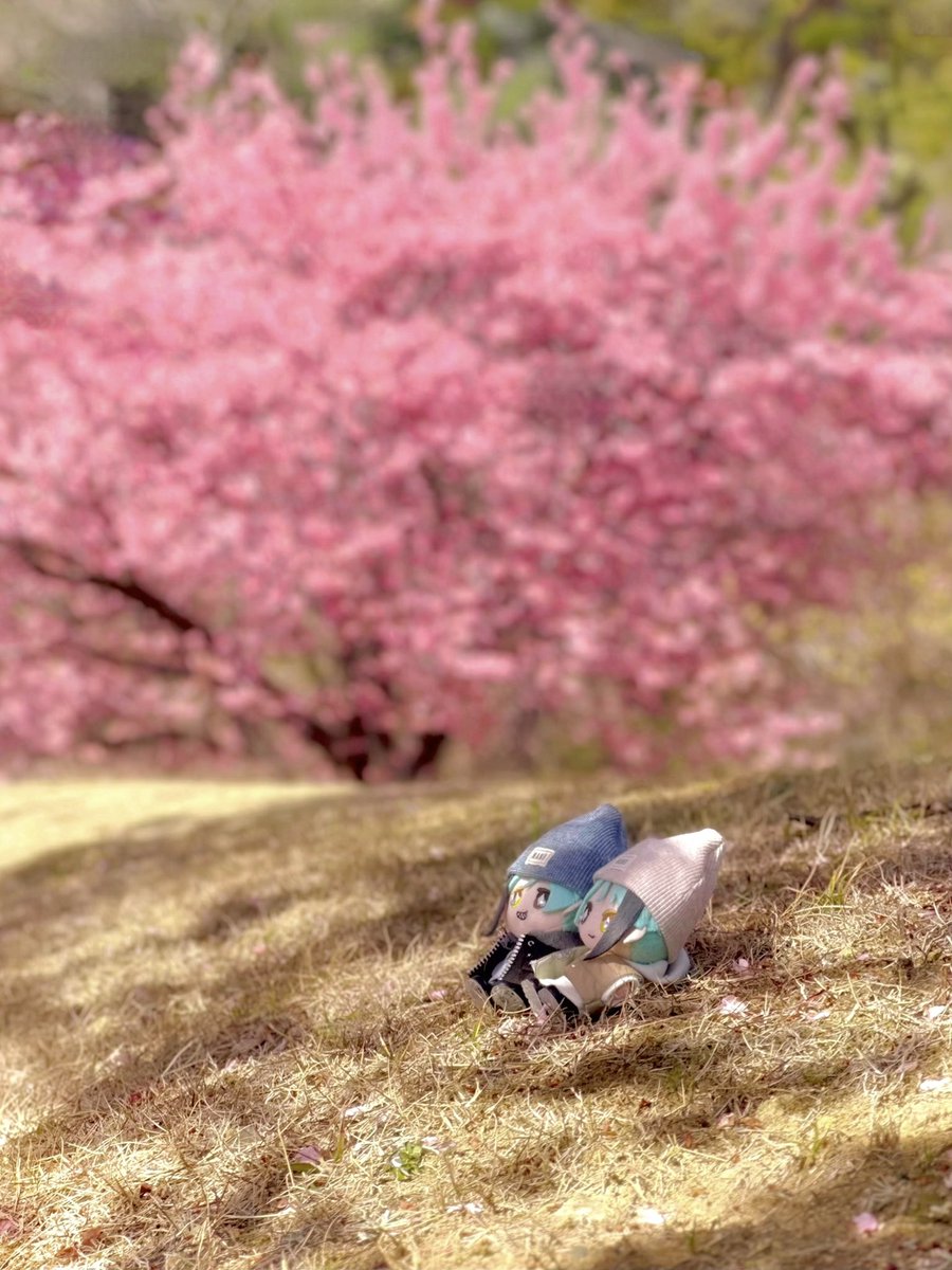 寝転んで🌸