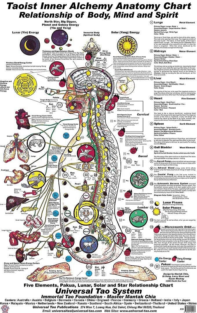 Your body is not just physical it’s an energy universe.

Ancient Taoist wisdom mapped the human body as a living cosmos:
• Energy flows like rivers (Qi)
• Organs align with elements (Fire, Water, Wood, Metal, Earth)
• Mind, breath, and spirit move in harmony

This is Inner