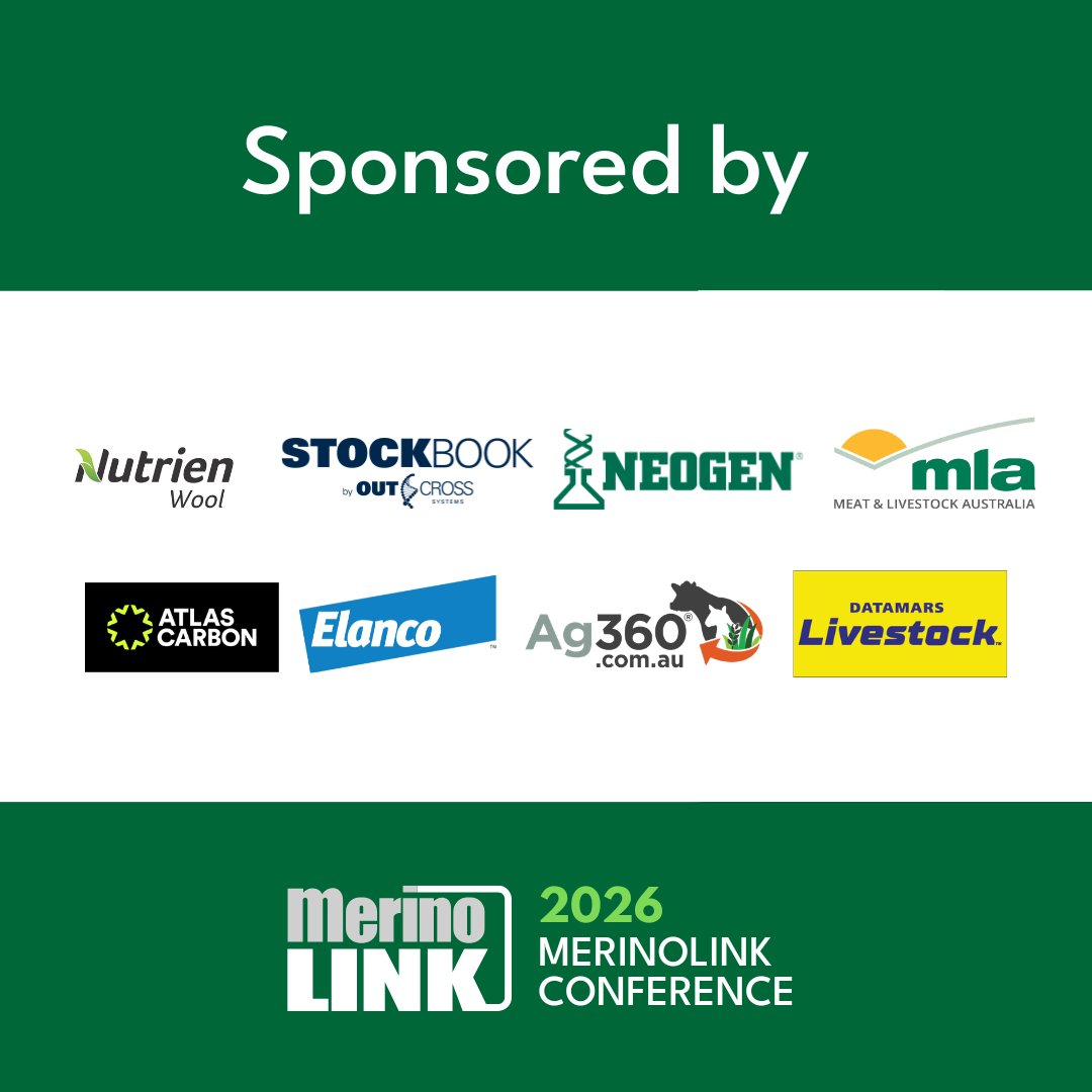 MerinoLink Limited tweet media