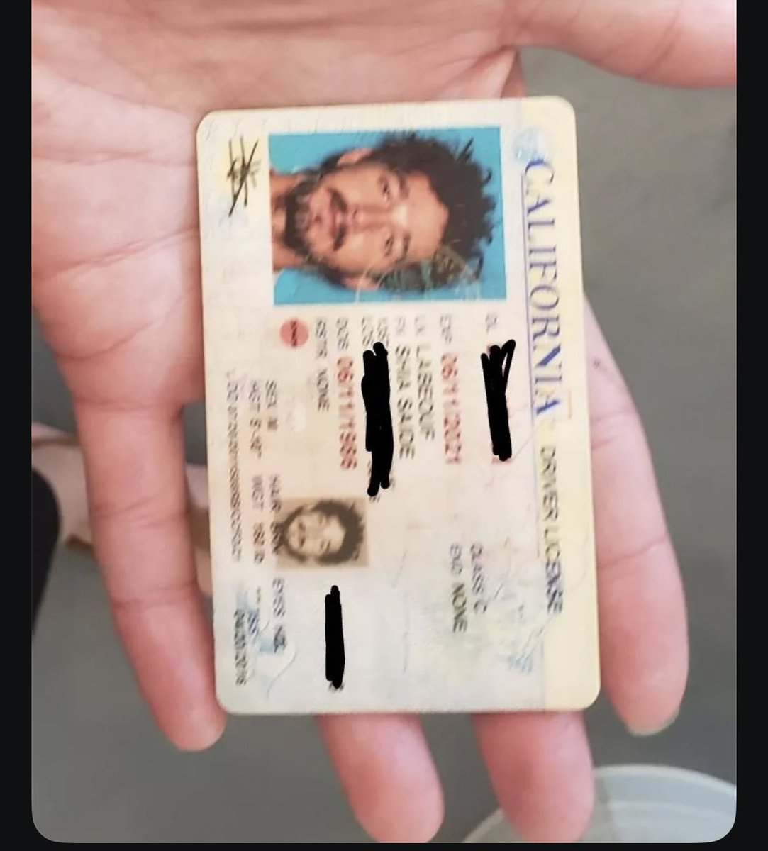 threeonenate's tweet photo. Someone on the New Orleans subreddit found Shia Labeouf's ID on Bourbon St. 😭 https://t.co/o2XmvEu28S