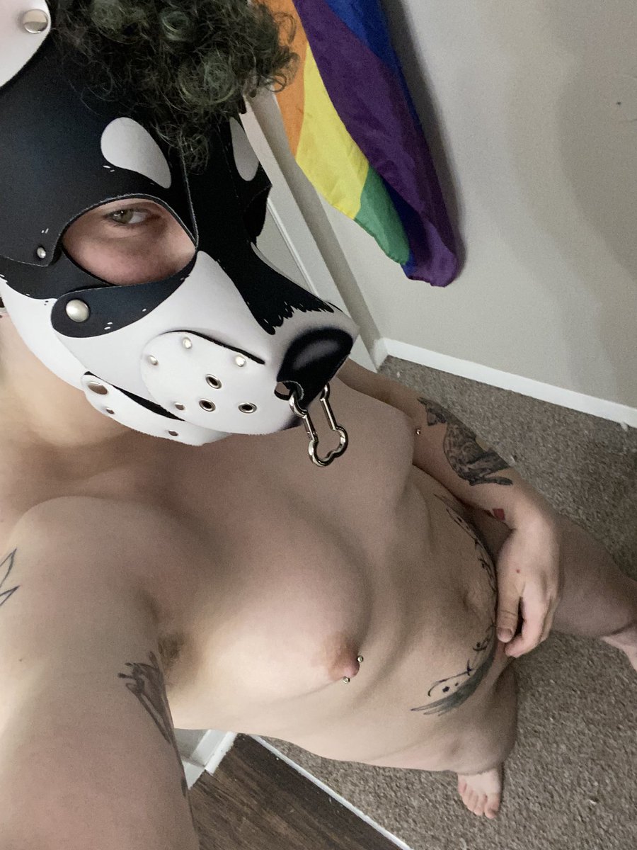 Kinky Kitsune ➡️ TFF, FWA tweet media